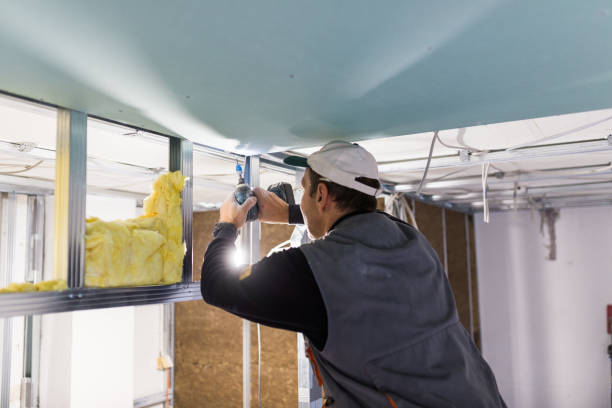 Best Insulation Maintenance and Repair in Essex, MD