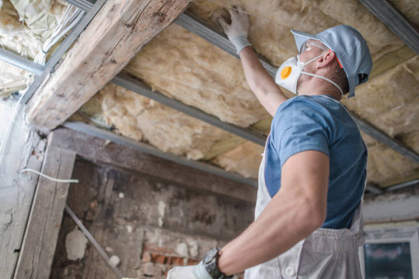 Best Insulation for Specific Applications in Essex, MD